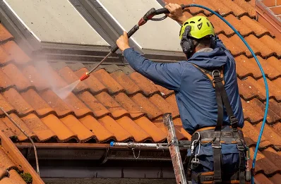Démoussage et hydrofuge de toiture à Bluffy